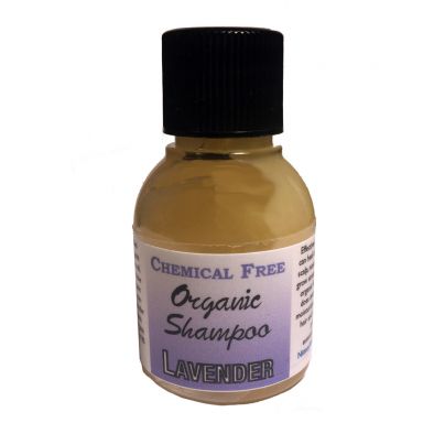 Lavender Dreams Organic Shampoo, 1 oz.
